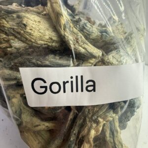 Alternative view of Gorilla shrooms