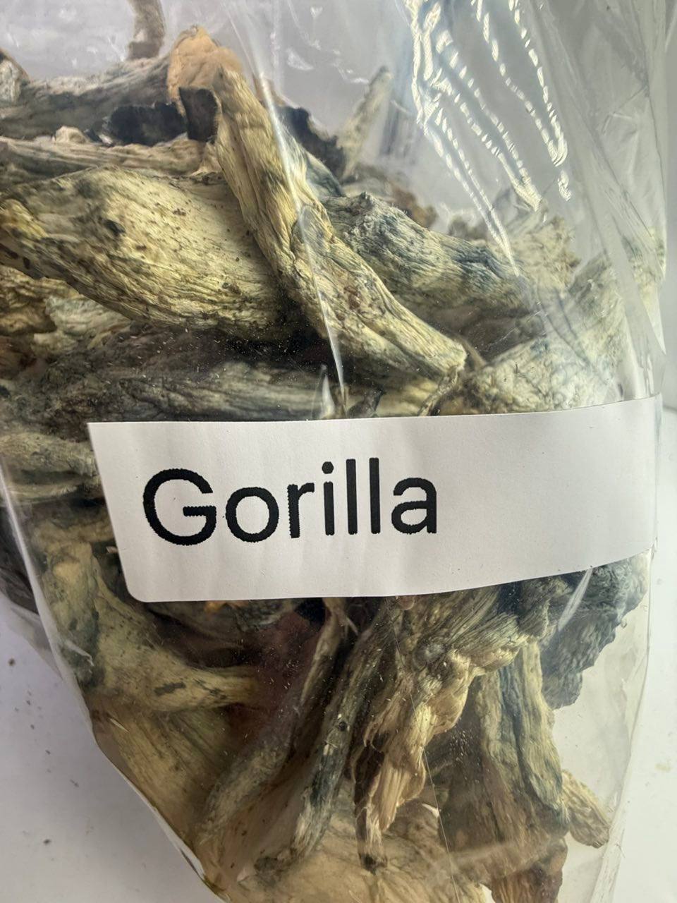 Gorilla shrooms - Image 2